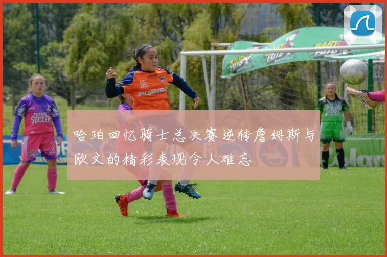 哈珀回忆骑士总决赛逆转詹姆斯与欧文的精彩表现令人难忘